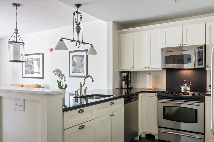 102 Forest Drive #202 (LO 204)/ IV Clay Brook at Sugarbush, Warren, VT 05674 - #3