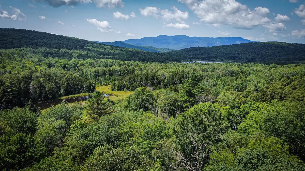 00-2 Prickly Mountain Road, Warren, VT 05674 - #1