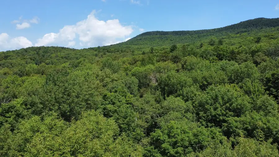 00-2 Prickly Mountain Road, Warren, VT 05674 - #2