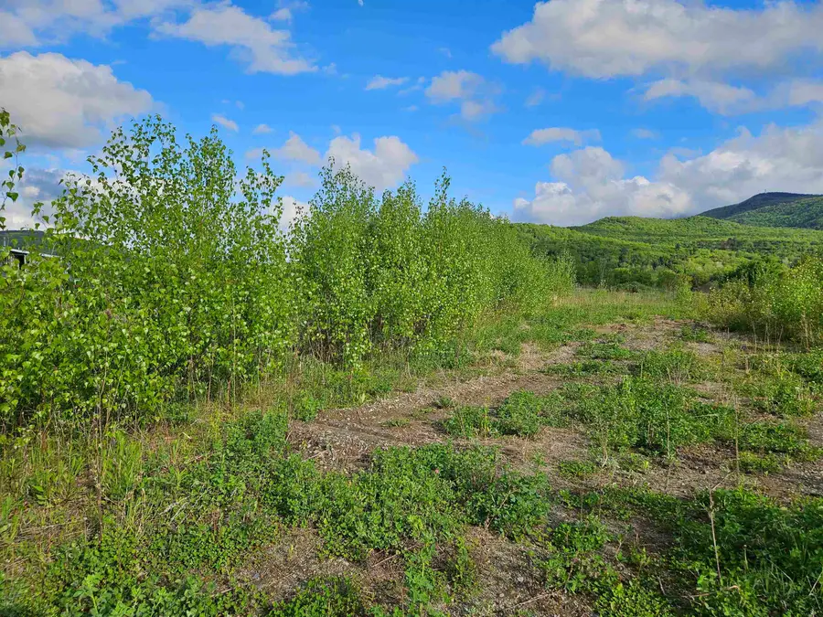 TBD Lot #3 Miller's Meadow Road, Cambridge, VT 05444 - #3