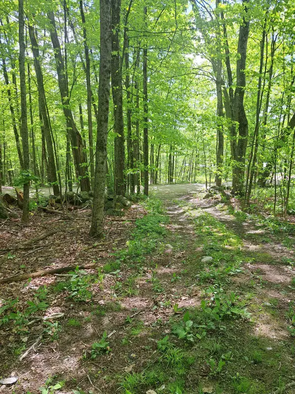 81 Hart Farm Road, Deering, NH 03244