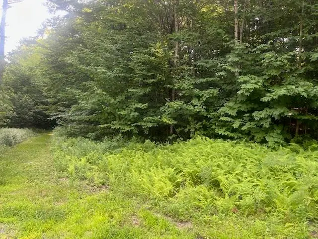 00 Aspen Drive #48/F-20, Tuftonboro, NH 03816 - #2