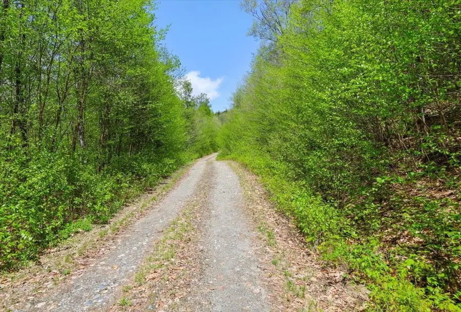0 Mud Pond Pass, Granby, VT 05840 - #2