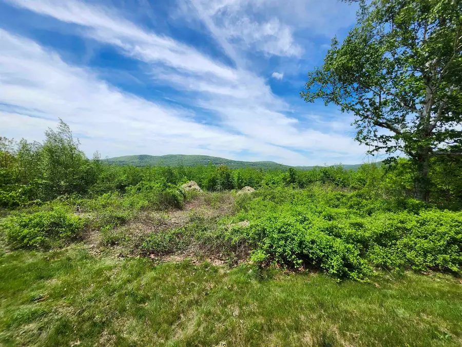 37 Bowman Road, Alton, NH 03809 - #3