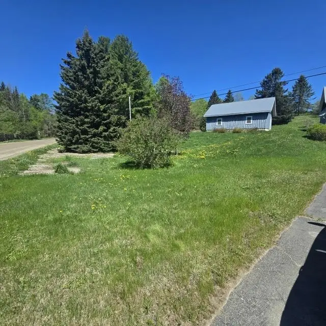 5042 South Wheelock Road, Wheelock, VT 05851 - #3