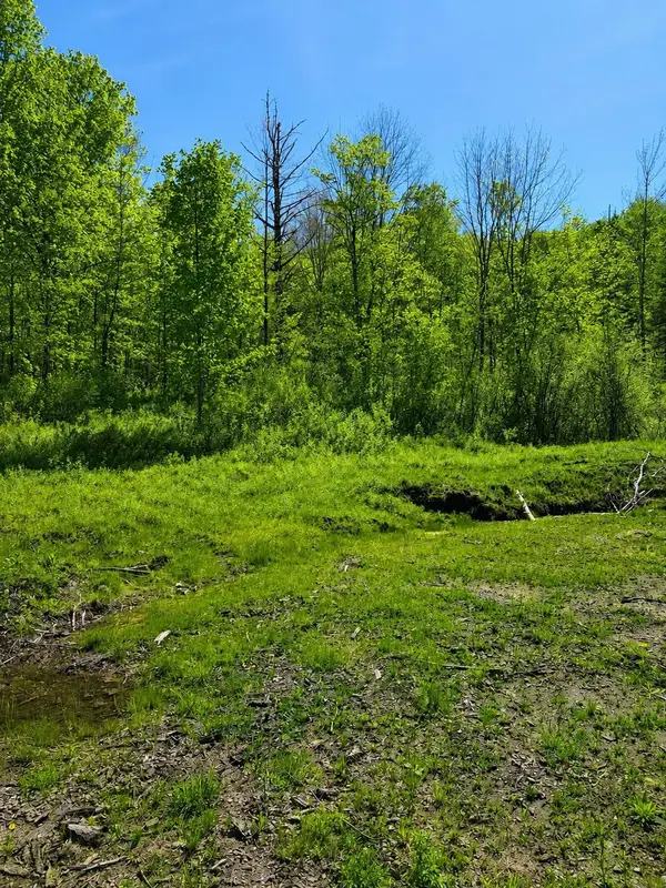 0 Blake Hill Road, Woodbury, VT 05681