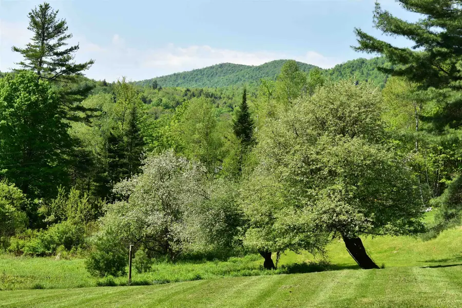 60 Hampshire Hill Road, Worcester, VT 05682 - #3