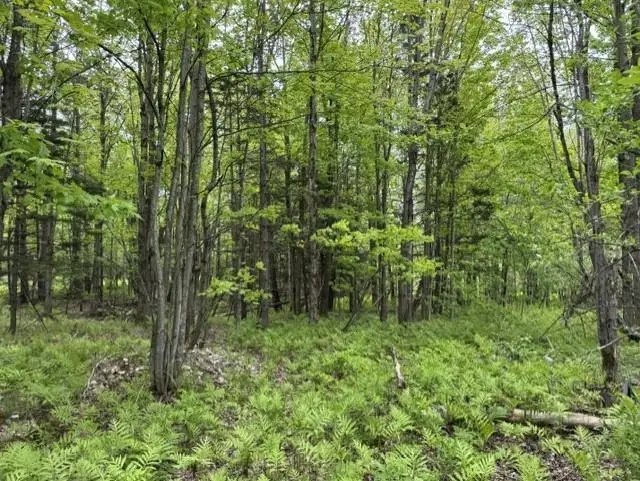 200 Coits Gore Road, Bakersfield, VT 05441 - #2