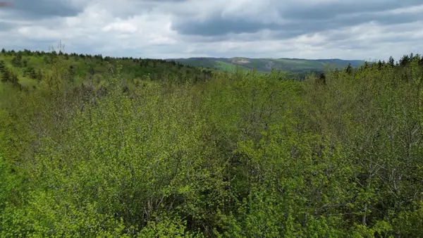 Map 8 Lot 29 Martin Road, Washington, NH 03280