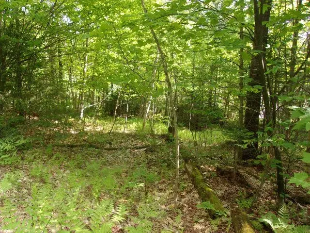 Lincoln Way #89, Mountain Lakes, NH 03785 - #1