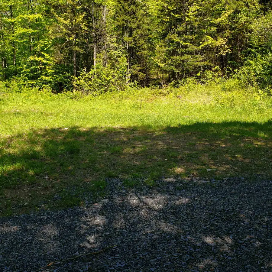 00 Beaver Meadow Road, Roxbury, VT 05669 - #3