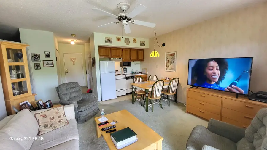 36 Lodge Road #C114, Lincoln, NH 03251 - #3