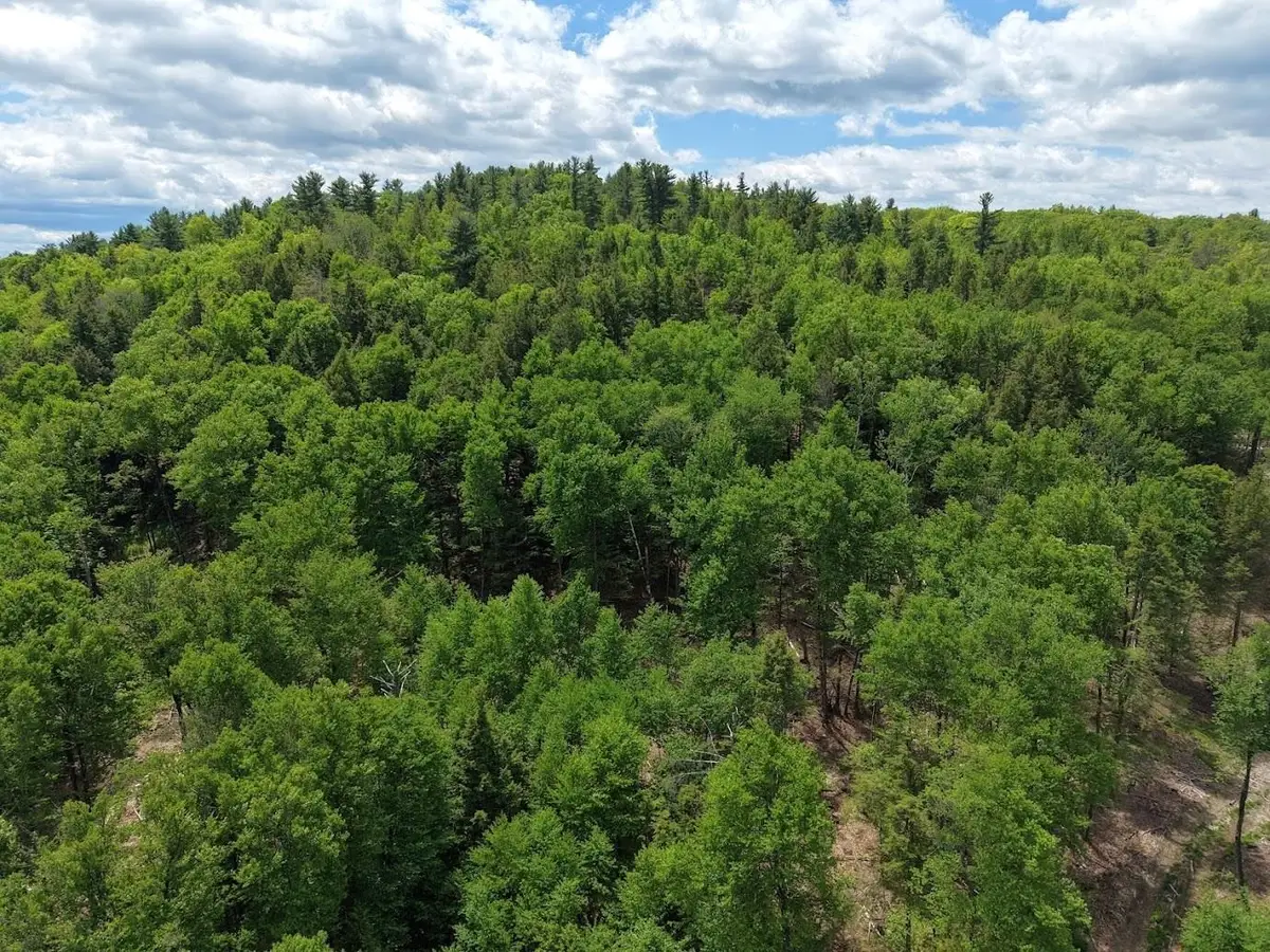 Hurricane Road, Westmoreland, NH 03467 - #1