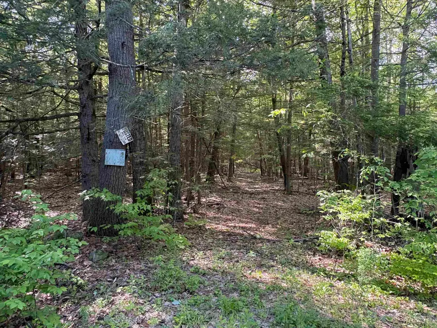 Lot 85 Currier Road, Candia, NH 03034 - #3