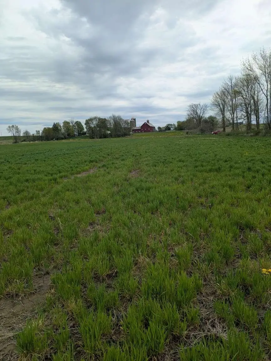 104 Old Stonehouse Road, Addison, VT 05491 - #3