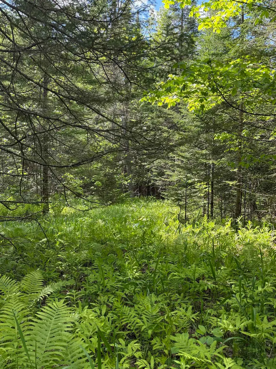 00 Fuller Road, Newbury, VT 05051 - #3