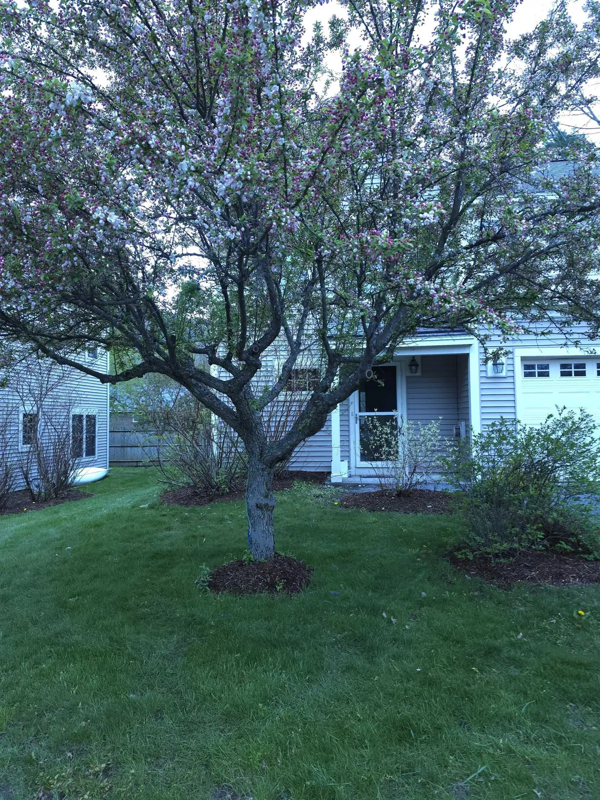299 Mount Support Road #21, Lebanon, NH 03766 - #1