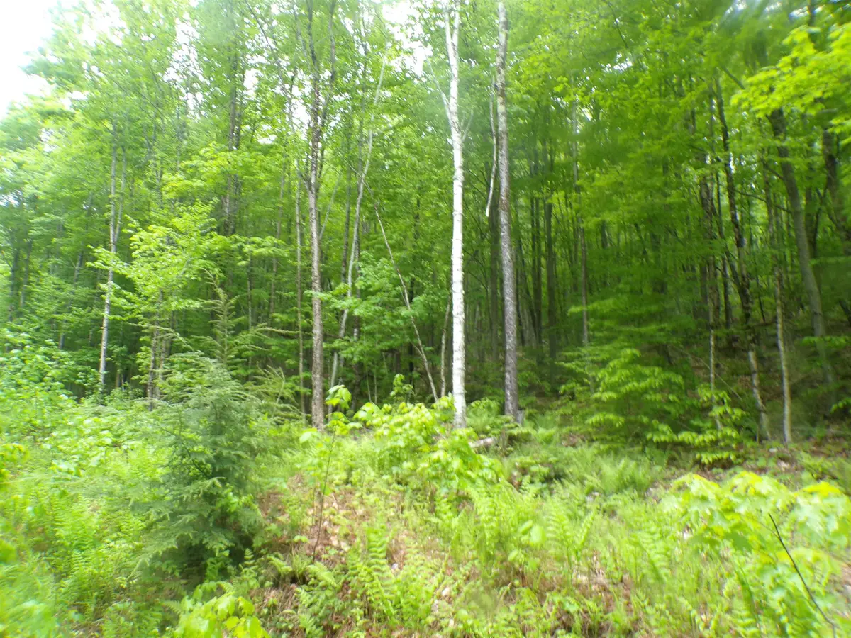 0 Foliage Lane #1, Westmore, VT 05822 - #1
