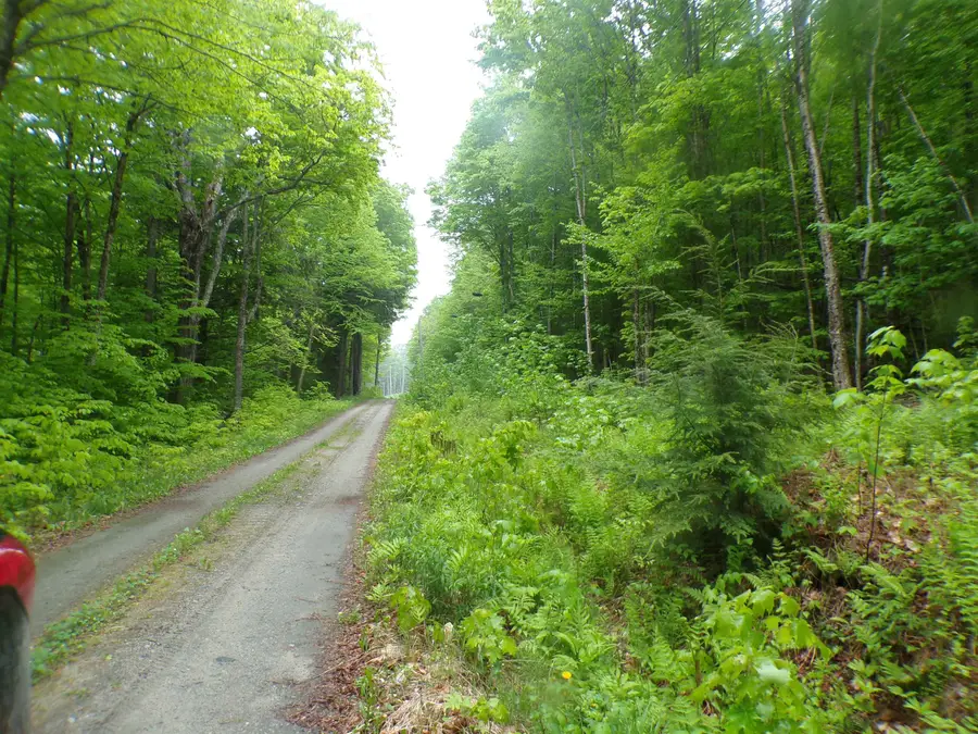 0 Foliage Lane #1, Westmore, VT 05822 - #2