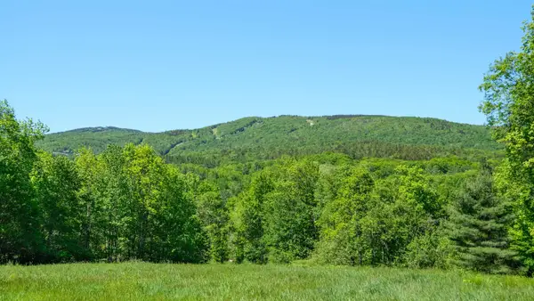 0 Rod & Gun Club Road #8, Ludlow, VT 05149