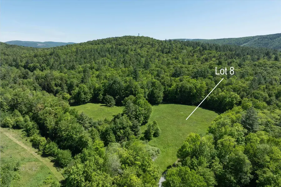 0 Rod & Gun Club Road #8, Ludlow, VT 05149 - #2