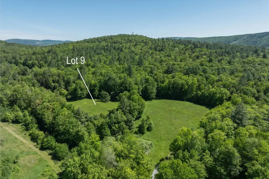 00 Rod & Gun Club Road #9, Ludlow, VT 05149 - #2