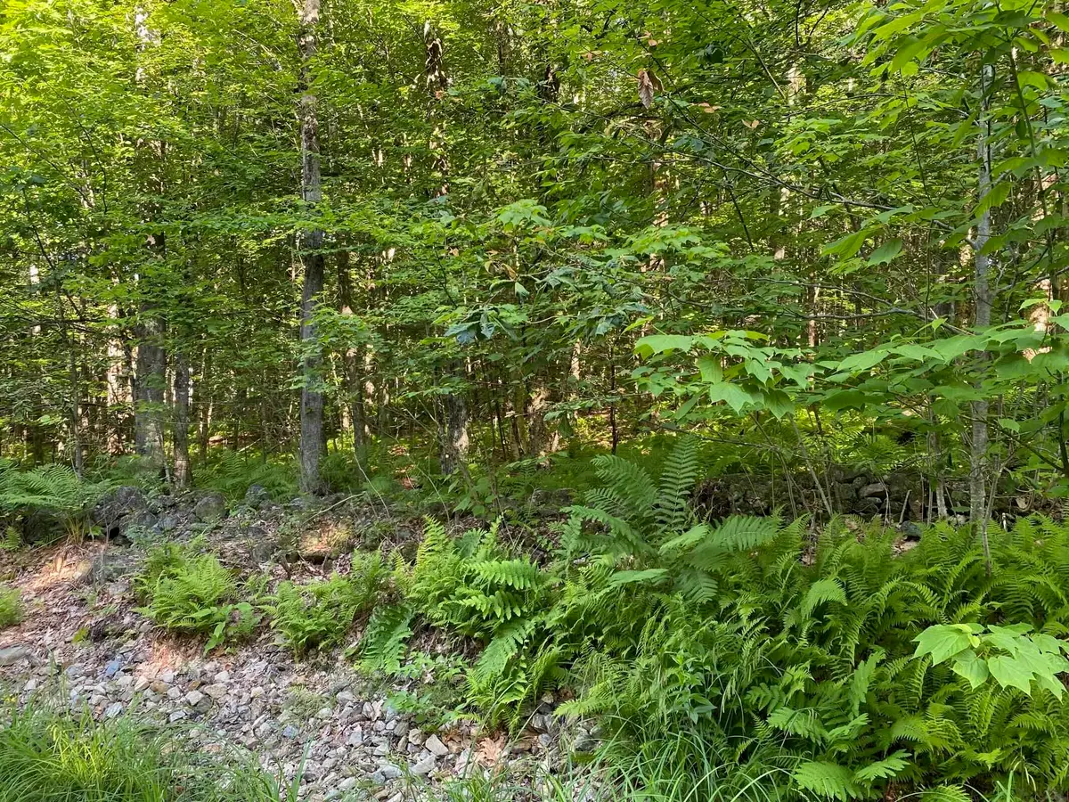 164 Lot 18-3 Mason Road, Milton, NH 03851 - #1