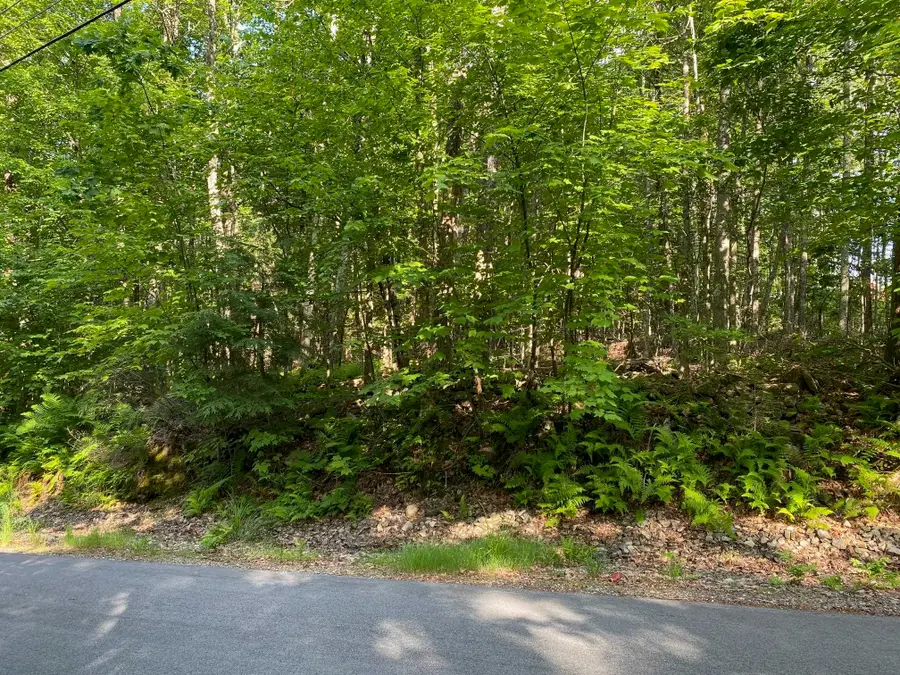 164 Lot 18-3 Mason Road, Milton, NH 03851 - #3