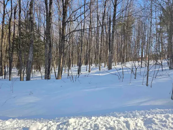 164 Lot 18-1 Mason Road, Milton, NH 03851