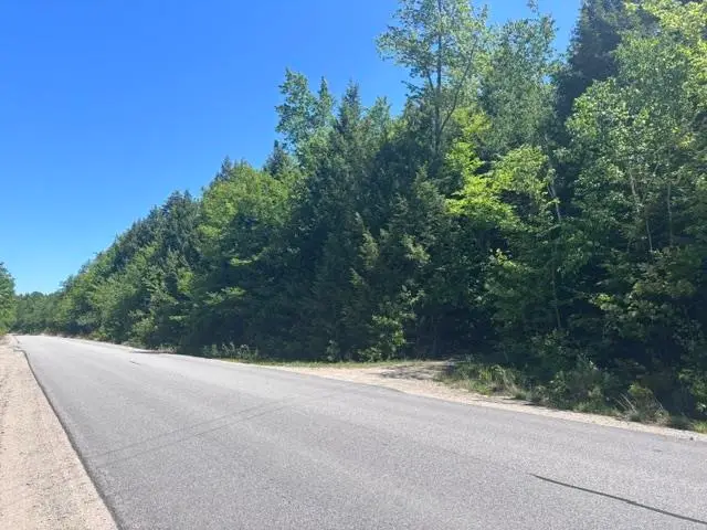 1010 Green Mountain Road, Effingham, NH 03882 - #2
