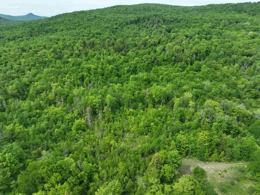 0 South County Road, Groton, VT 05046 - #3