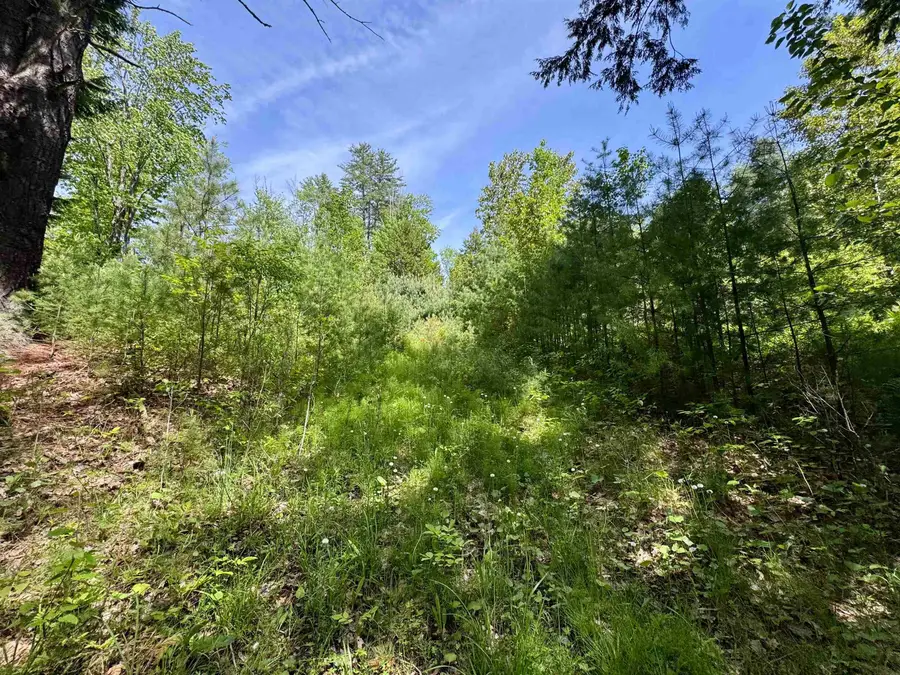 00 Mink Hill Road, Bradford, VT 05033 - #2