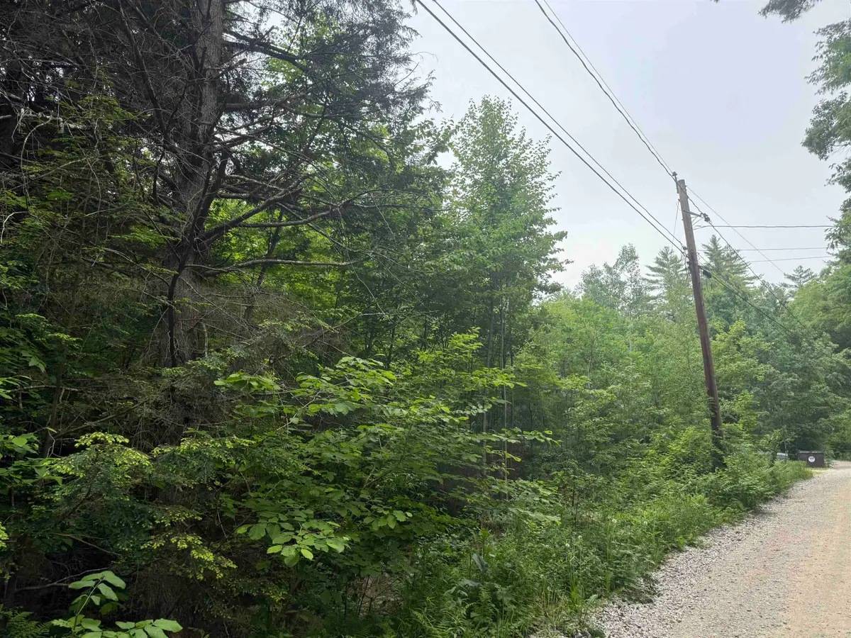 44 Huntington Drive, Hillsborough, NH 03244 - #1