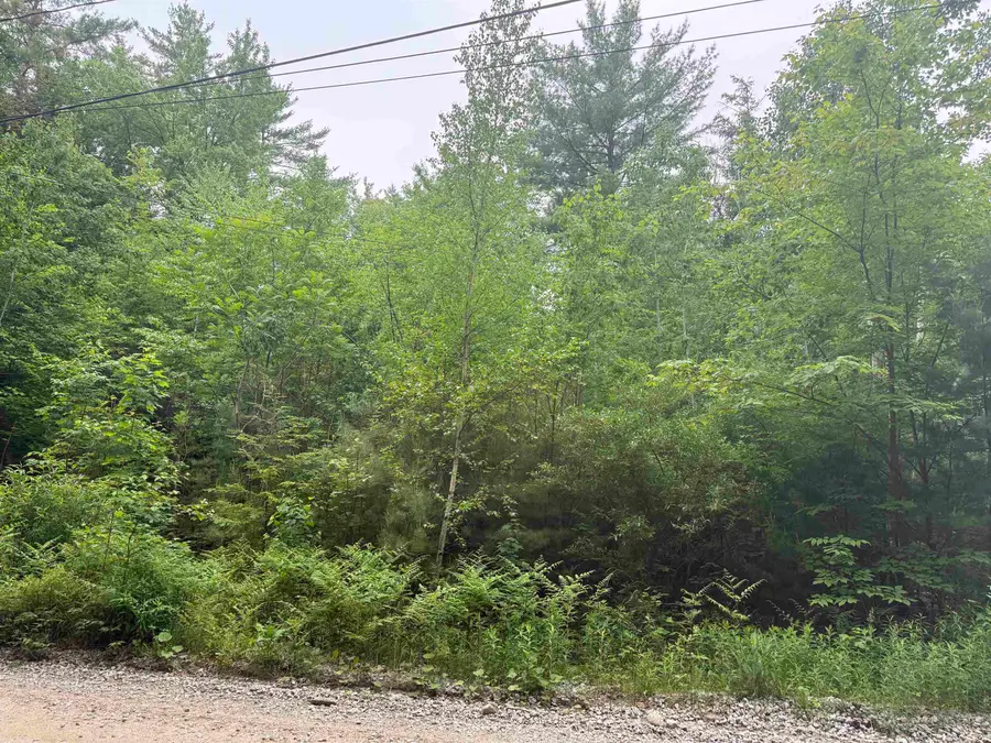 44 Huntington Drive, Hillsborough, NH 03244 - #2