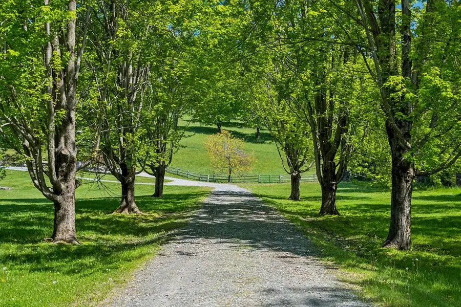 699 Spear Cemetery Road, Reading, VT 05062 - #3