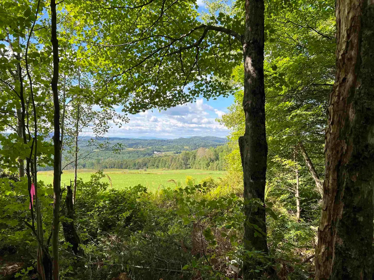 0 Danville Hill Road, Cabot, VT 05647 - #1