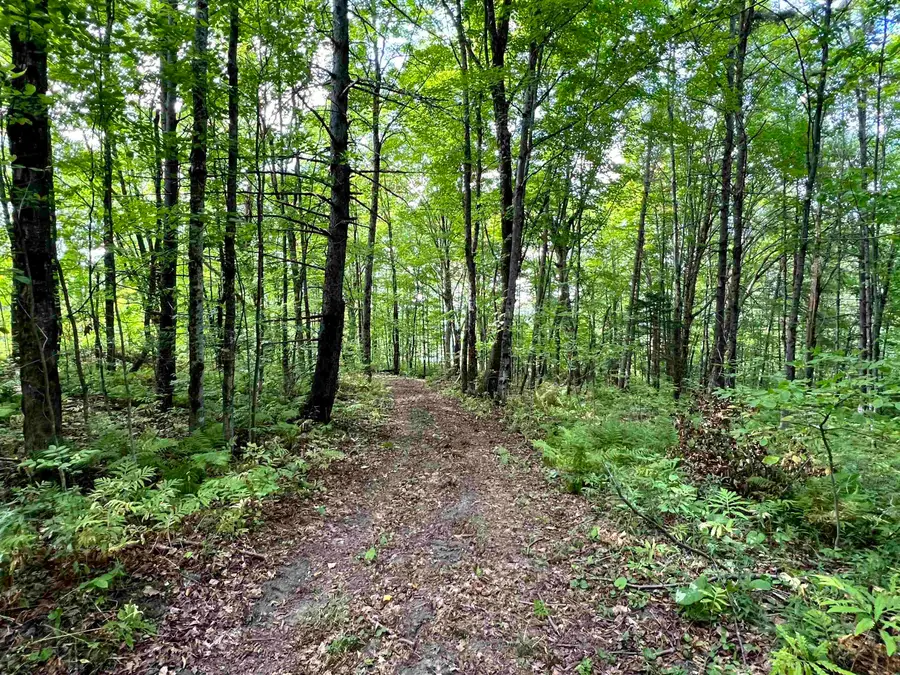 0 Danville Hill Road, Cabot, VT 05647 - #2