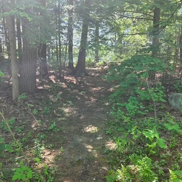 18 GORHAM Drive, Dunbarton, NH 03046 - #2
