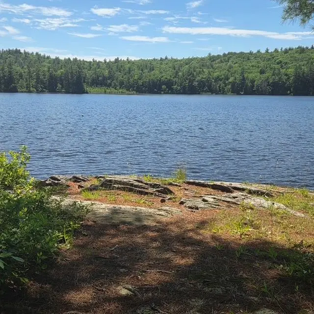 18 GORHAM Drive, Dunbarton, NH 03046 - #3