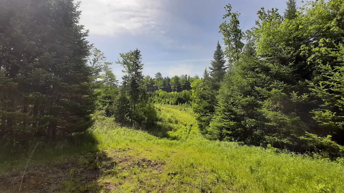 0 Summit Road, Mount Holly, VT 05758 - #1