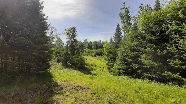 0 Summit Road, Mount Holly, VT 05758
