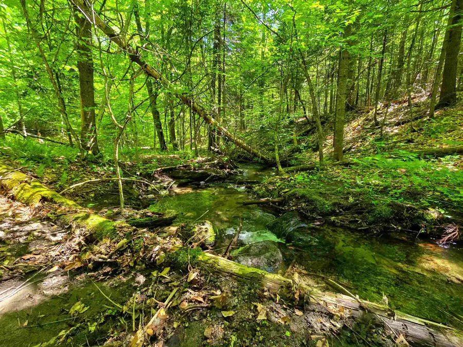 1905 Camp Munn Road, Bradford, VT 05033 - #3