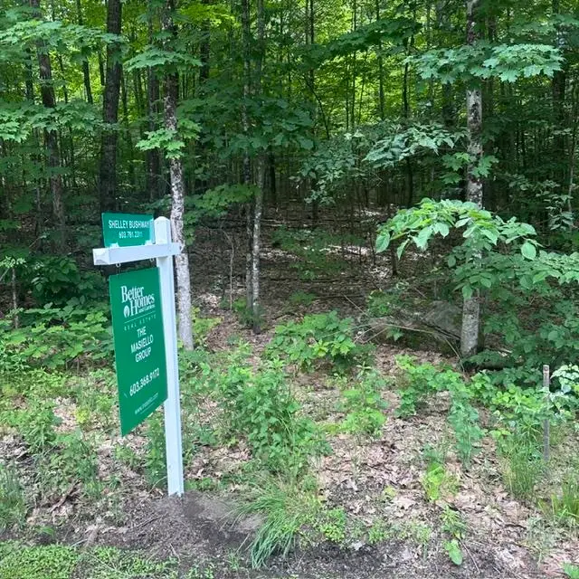 44.1 Lovell Lake Road, Sanbornville, NH 03872 - #2