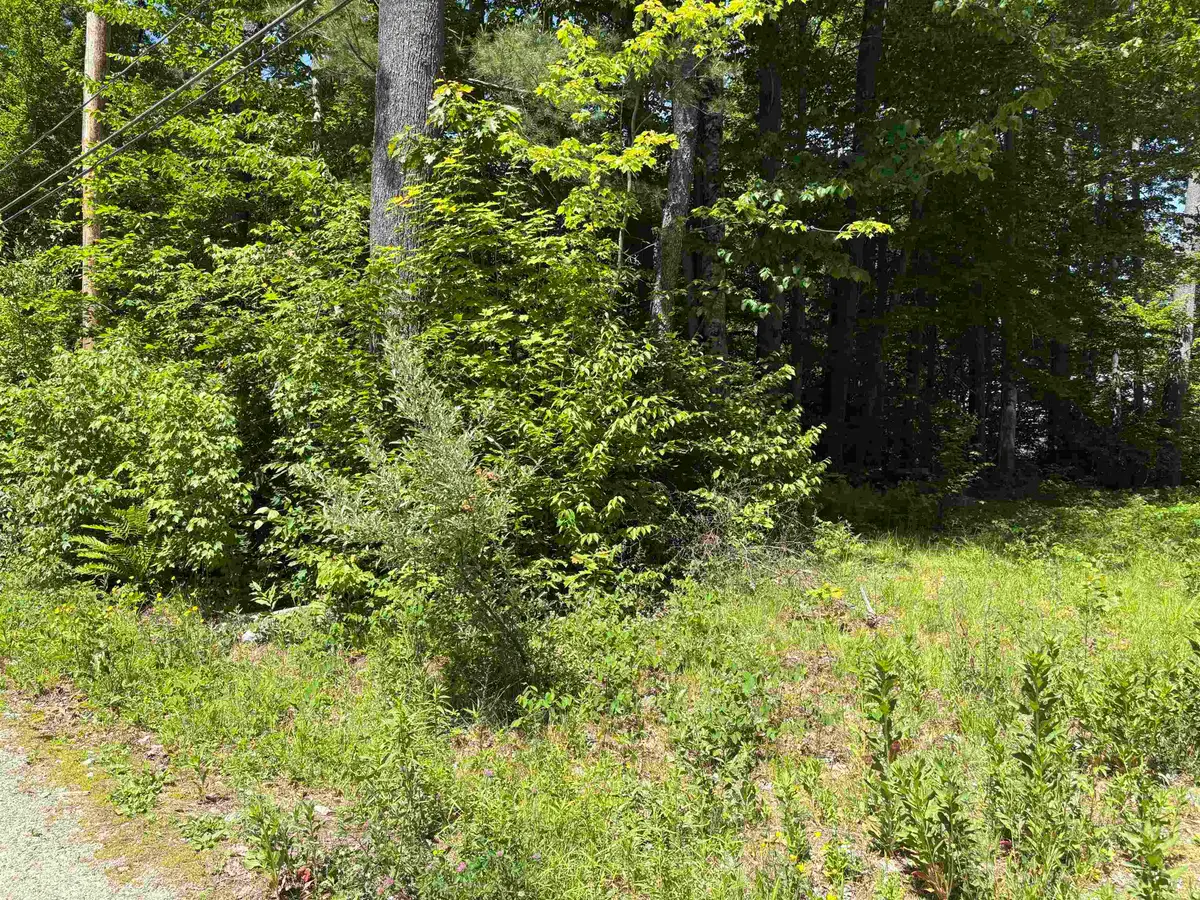 Lot 608 Rabbit Path, Hillsborough, NH 03244 - #1