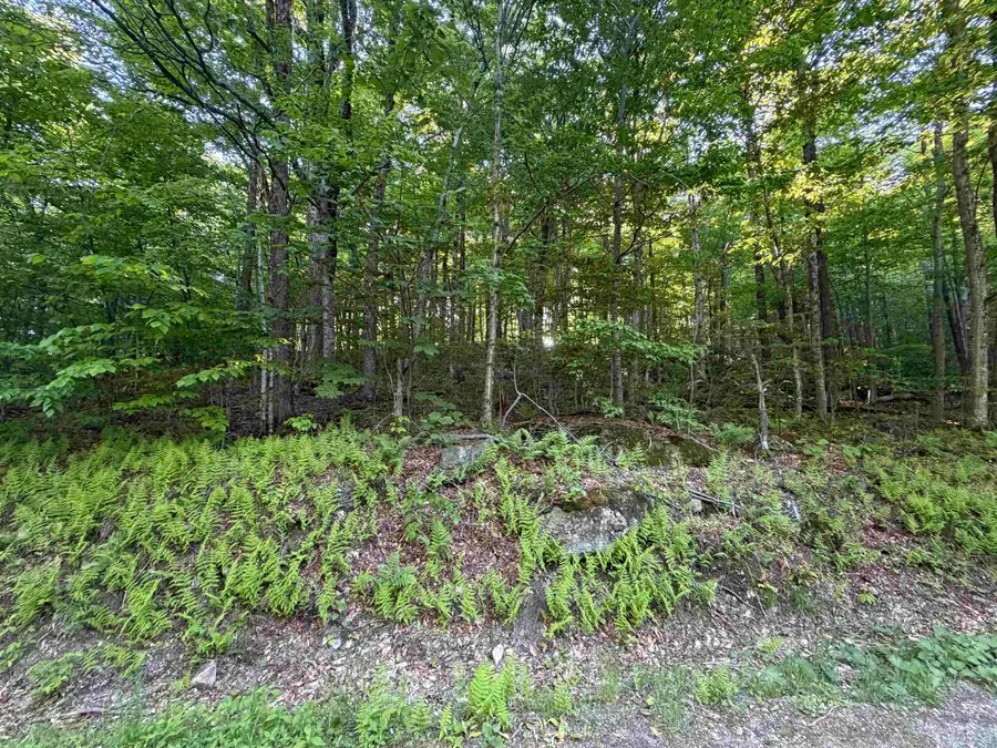 Scattered Timber Road, Wilmington, VT 05363 - #3