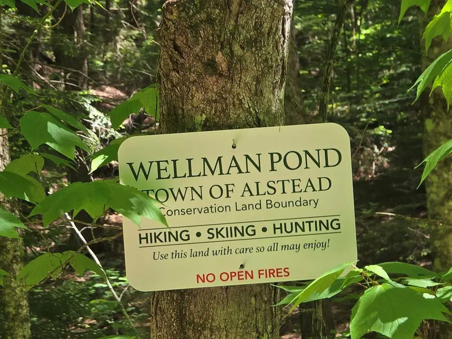 Baine Road #Map 47 Lot 1  & Map 11 Lot 2, Alstead, NH 03602 - #2
