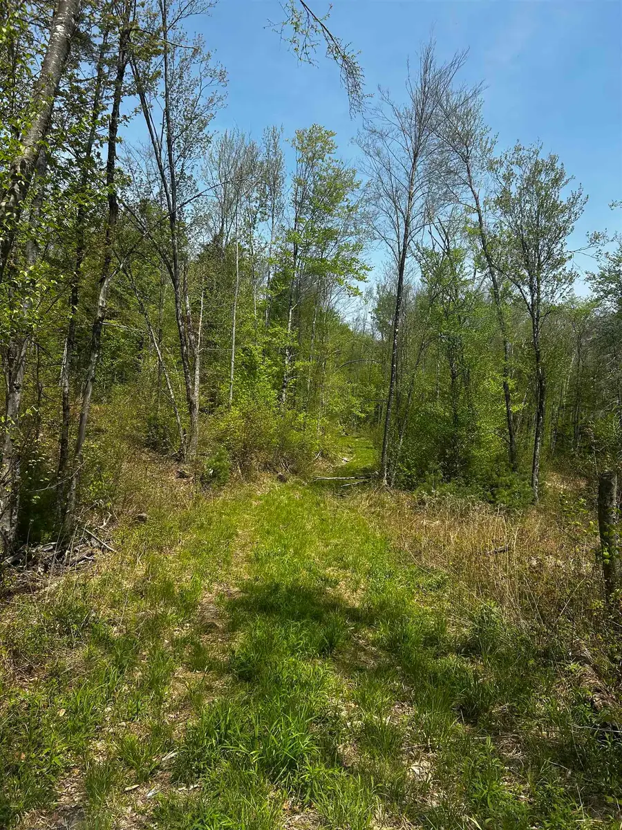 Baine Road #Map 47 Lot 1  & Map 11 Lot 2, Alstead, NH 03602 - #3