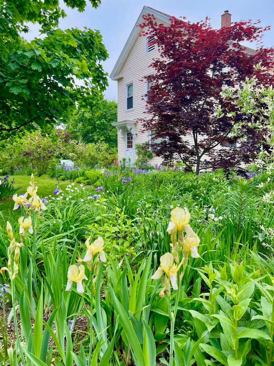 29 Spaulding Street, Milford, NH 03055 - #3