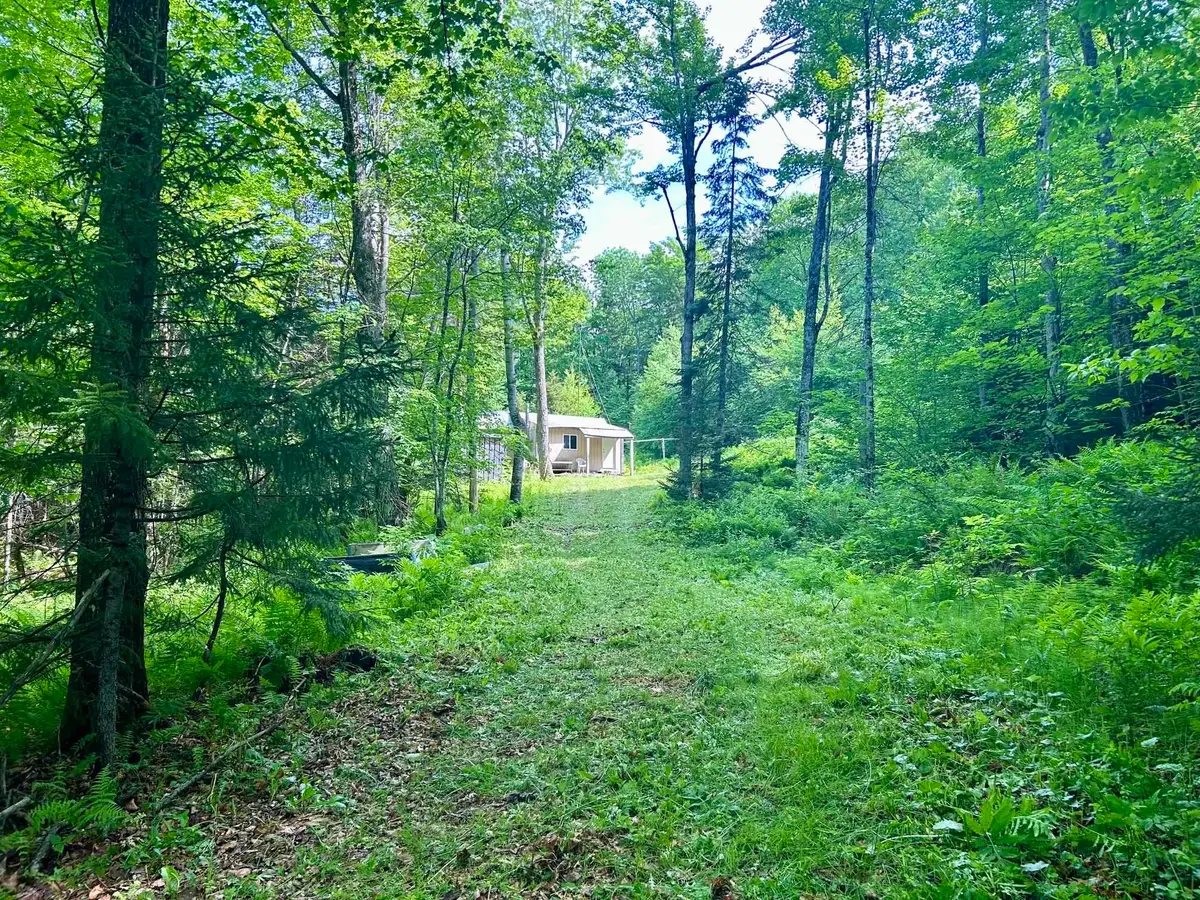 000 Williamstown Road, Chelsea, VT 05038 - #1