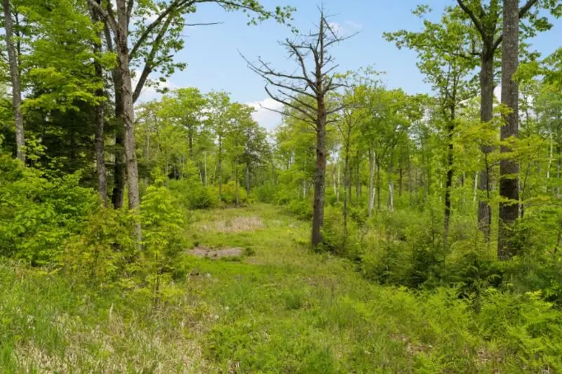 00 Canaan Street #Lot 7, Canaan, NH 03741 - #1